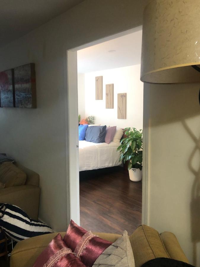 Quiet-Comfy 3 Bedroom Home On A Tree Lined Street In Kits Vancouver Luaran gambar