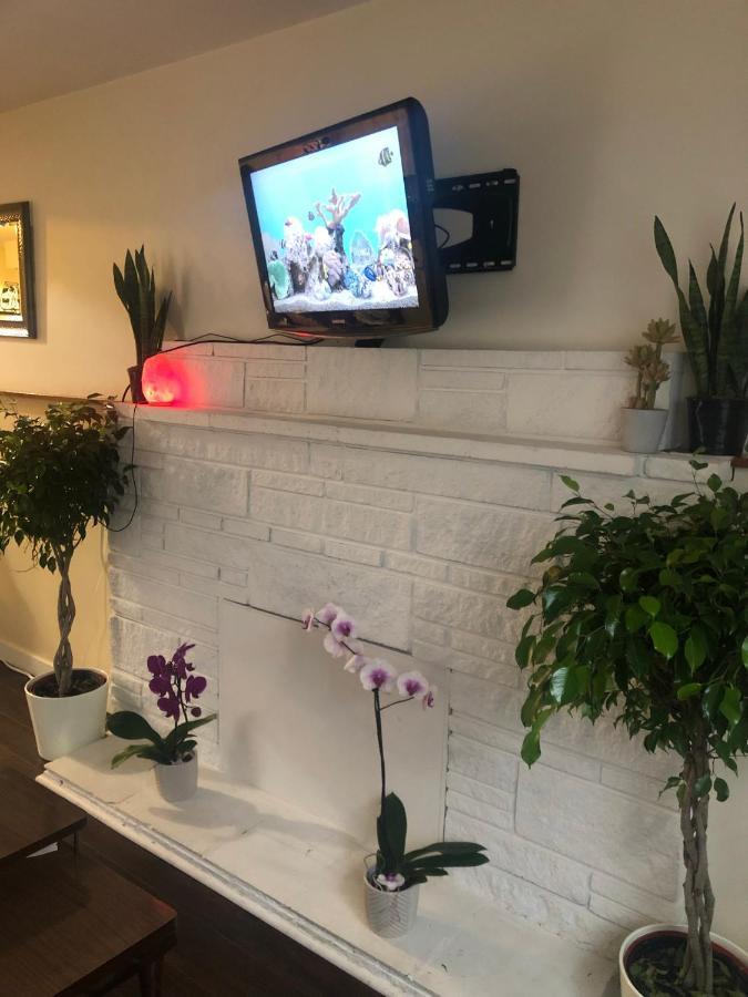 Quiet-Comfy 3 Bedroom Home On A Tree Lined Street In Kits Vancouver Luaran gambar